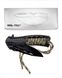 Нож Mil-Tec складной с камуфляжным паракордовым шнуром NOG-3 фото 6