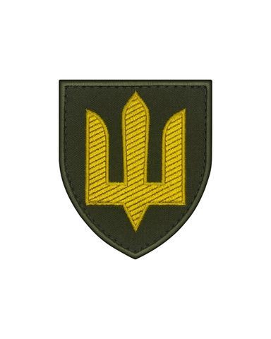 Шеврон Загальновійськовий сухопутний, кольоровий SHE.ZSU-31.1 фото