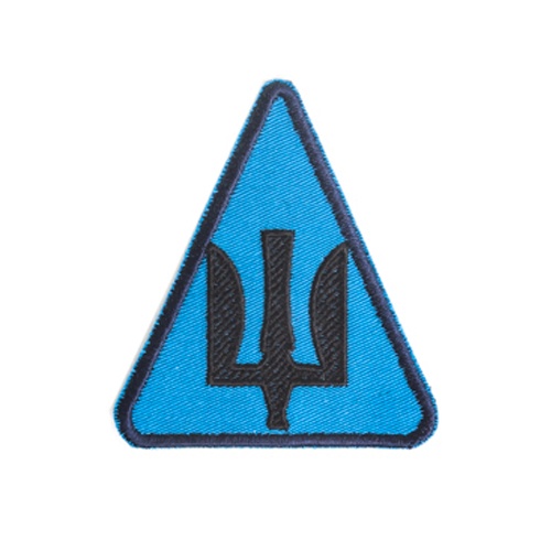 Нарукавный знак Радио-технические войска Воздушных Сил, цветной SHE-225 фото